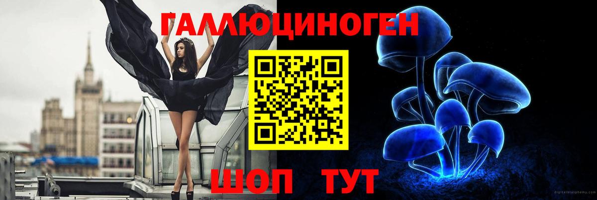 Галлюциногенные грибы прущие грибы  Вход с VPN  Красноярск 